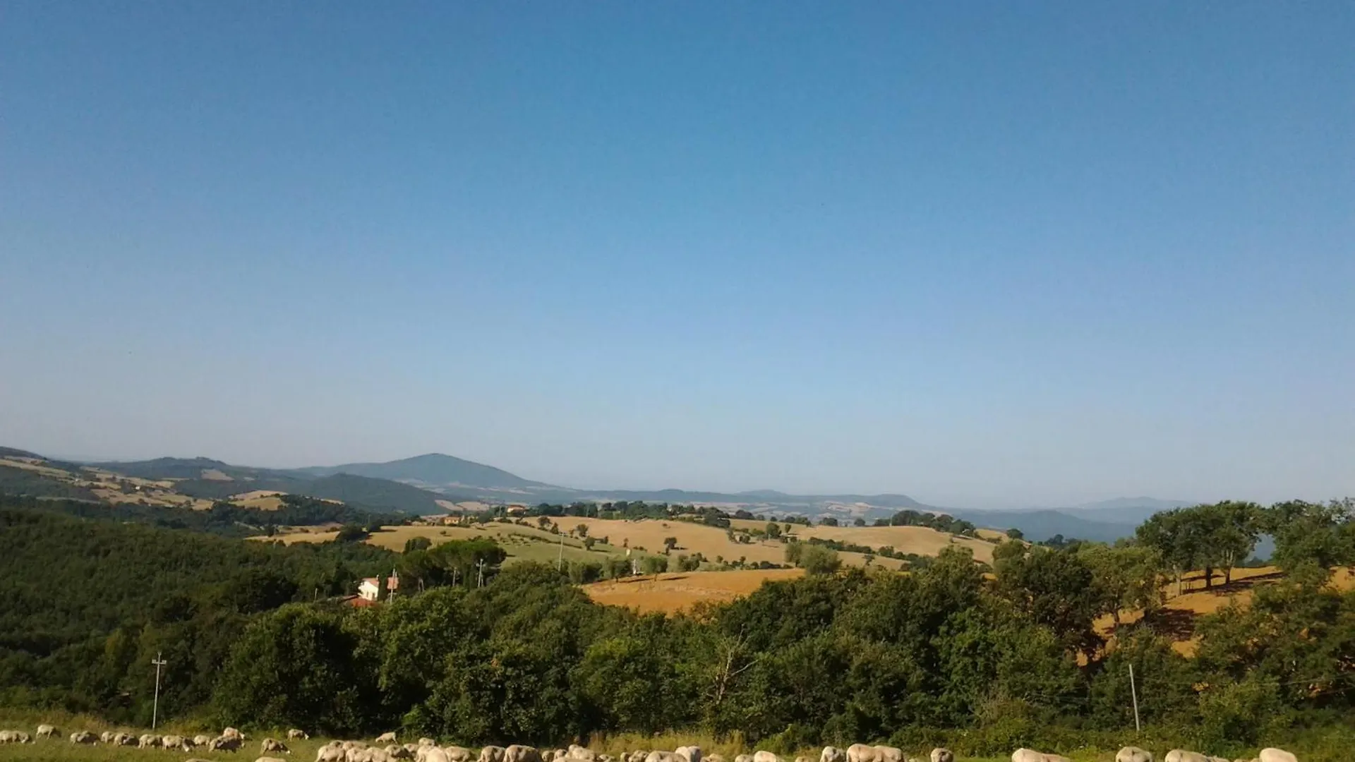 Casale La Quercia Villa Pian D'artino